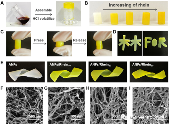 烧伤敷料怎么用图解《ACS AMI》：全能烧伤创面敷料！显著抗菌和抗炎！_https://www.jmylbn.com_新闻资讯_第2张