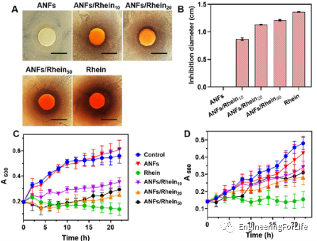烧伤敷料怎么用图解《ACS AMI》：全能烧伤创面敷料！显著抗菌和抗炎！_https://www.jmylbn.com_新闻资讯_第6张