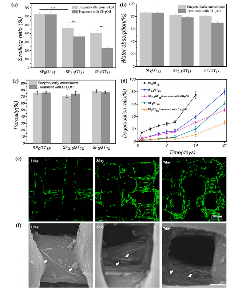 华南理工曹晓东团队：用于软骨再生的载干细胞3D打印丝素蛋白/明胶支架的图4
