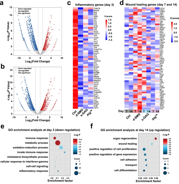 自粘伤口敷料有什么用快来GET！盘点伤口愈合不一样的表征手段，你用过几种？_https://www.jmylbn.com_新闻资讯_第7张