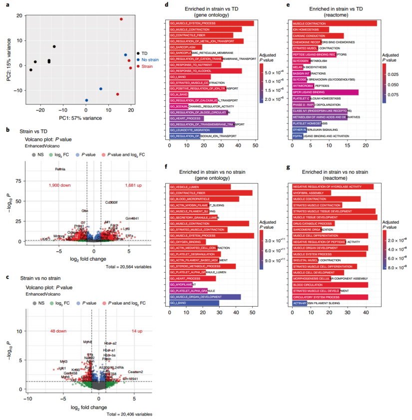 自粘伤口敷料有什么用快来GET！盘点伤口愈合不一样的表征手段，你用过几种？_https://www.jmylbn.com_新闻资讯_第8张