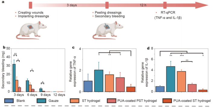 自粘伤口敷料有什么用快来GET！盘点伤口愈合不一样的表征手段，你用过几种？_https://www.jmylbn.com_新闻资讯_第5张