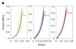 自粘伤口敷料有什么用快来GET！盘点伤口愈合不一样的表征手段，你用过几种？_https://www.jmylbn.com_新闻资讯_第3张