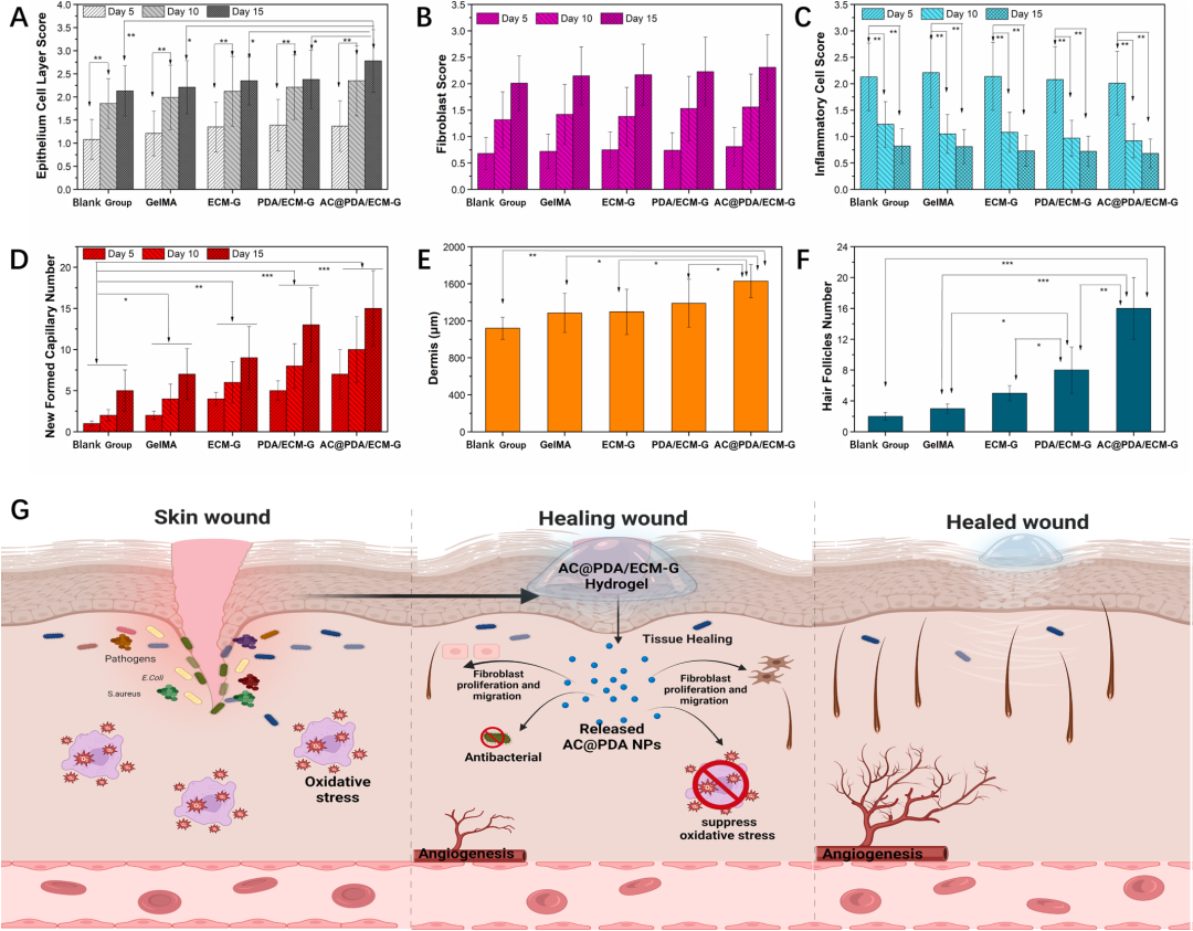 自粘伤口敷料有什么用快来GET！盘点伤口愈合不一样的表征手段，你用过几种？_https://www.jmylbn.com_新闻资讯_第6张
