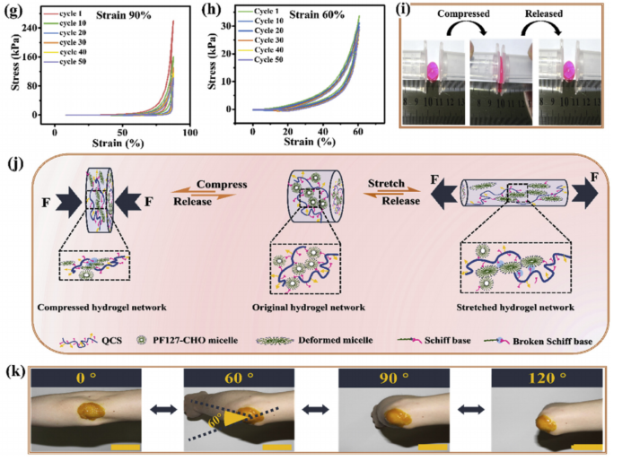自粘伤口敷料有什么用快来GET！盘点伤口愈合不一样的表征手段，你用过几种？_https://www.jmylbn.com_新闻资讯_第4张