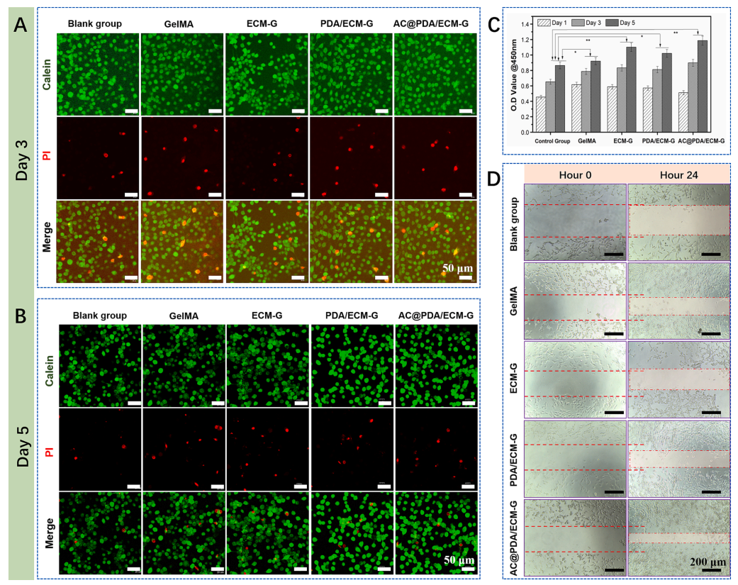 促愈凝胶怎么排出《Chemical Engineering Journal》：可用作可促进愈合的伤口敷料新型生物活性复合水凝胶_https://www.jmylbn.com_新闻资讯_第5张
