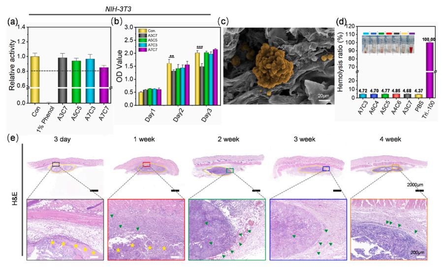 壳聚糖凝胶有什么作用《Bioactive Materials》：海藻酸钠／壳聚糖双组分多功能凝胶用于伤口护理_https://www.jmylbn.com_新闻资讯_第5张