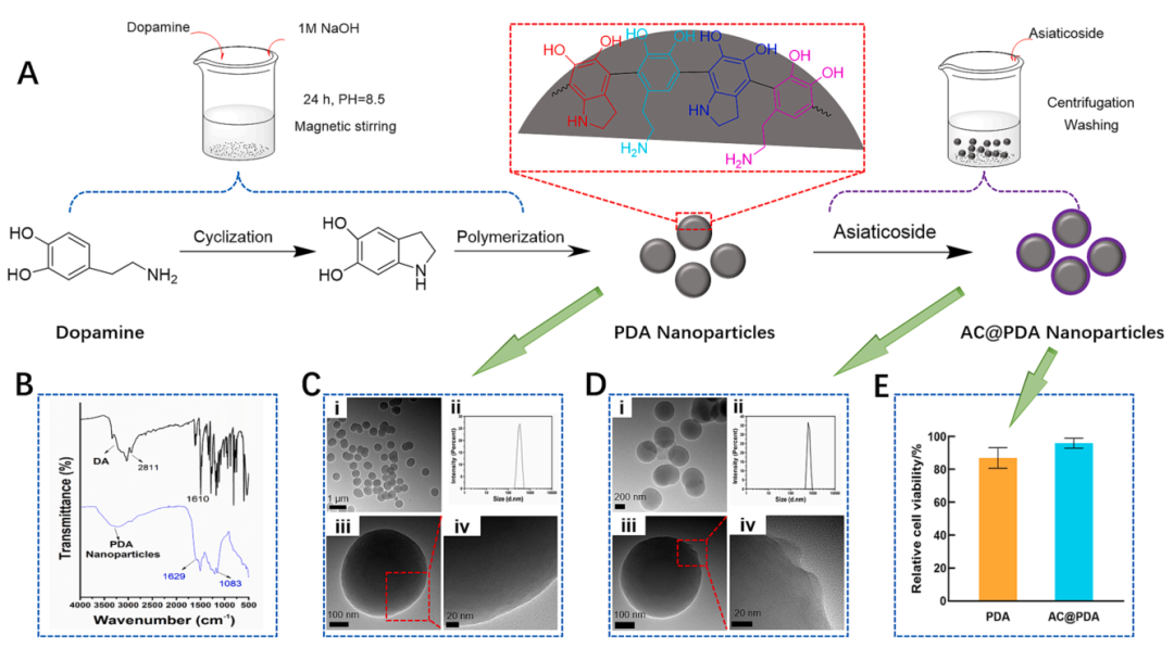 促愈凝胶怎么排出《Chemical Engineering Journal》：可用作可促进愈合的伤口敷料新型生物活性复合水凝胶_https://www.jmylbn.com_新闻资讯_第3张