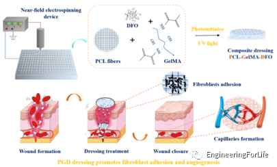 抗菌水凝胶怎么操作且看水凝胶如何“多点开花”整治糖尿病伤口_https://www.jmylbn.com_新闻资讯_第3张