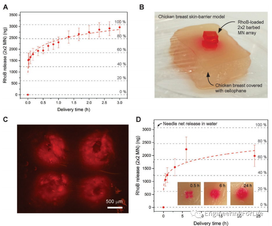 明胶在血管怎么降解【专题集锦】组织粘附与伤口敷料（20221002更新）_https://www.jmylbn.com_新闻资讯_第62张