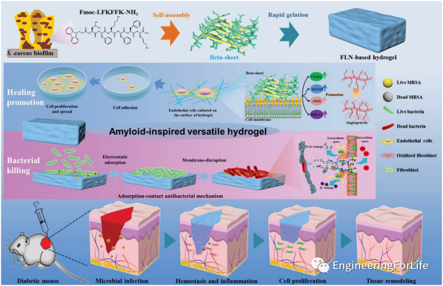 明胶在血管怎么降解【专题集锦】组织粘附与伤口敷料（20221002更新）_https://www.jmylbn.com_新闻资讯_第70张