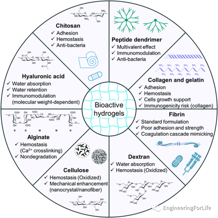 明胶在血管怎么降解【专题集锦】组织粘附与伤口敷料（20221002更新）_https://www.jmylbn.com_新闻资讯_第74张