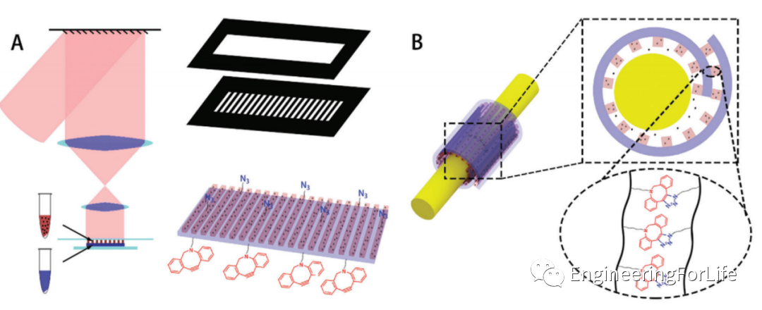 明胶在血管怎么降解【专题集锦】组织粘附与伤口敷料（20221002更新）_https://www.jmylbn.com_新闻资讯_第56张