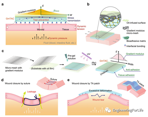 明胶在血管怎么降解【专题集锦】组织粘附与伤口敷料（20221002更新）_https://www.jmylbn.com_新闻资讯_第88张