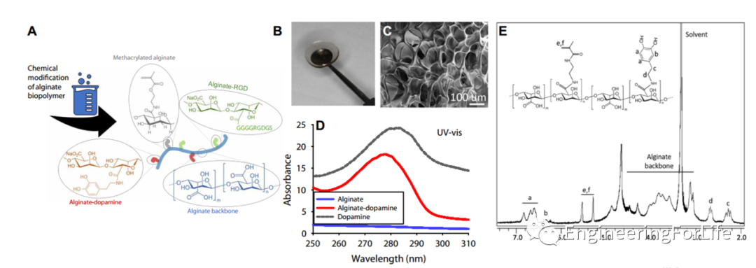 明胶在血管怎么降解【专题集锦】组织粘附与伤口敷料（20221002更新）_https://www.jmylbn.com_新闻资讯_第22张