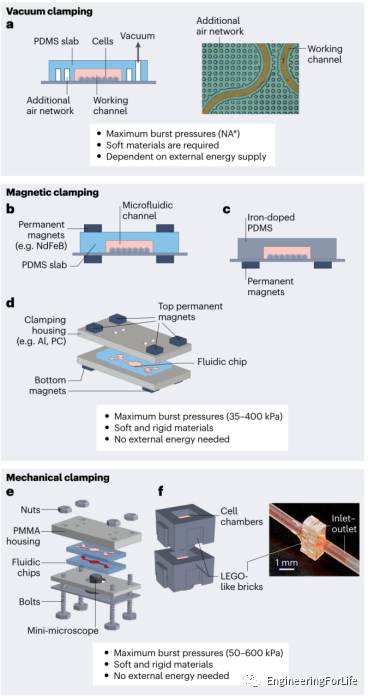 《Nat. Rev. Mater.》综述：在芯片上打造人体器官？从概念到现实的图2