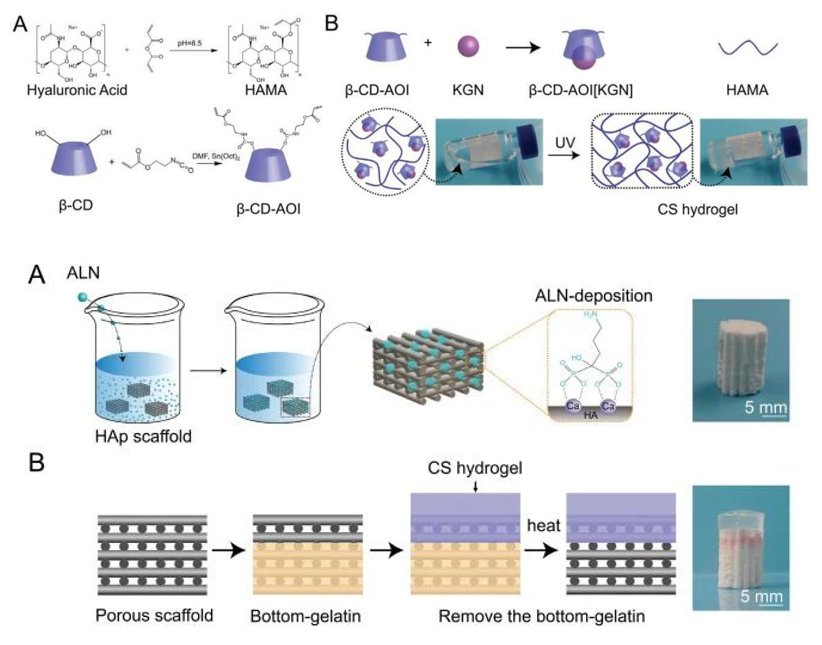 医用诱导骨基质是什么【专题集锦】软骨再生（20230111更新）_https://www.jmylbn.com_新闻资讯_第62张