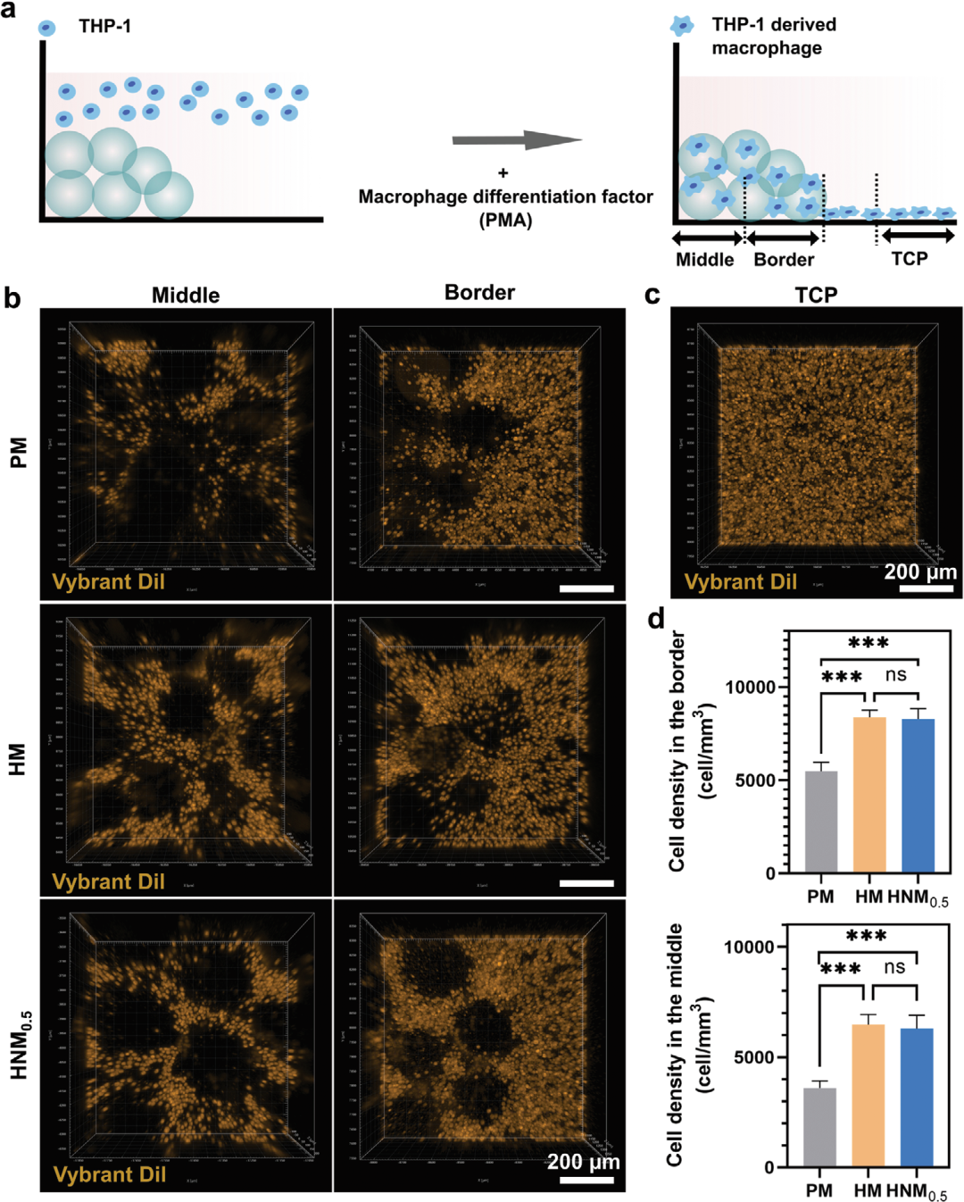 医用抗菌水凝胶怎么用水凝胶微球应用集锦：水凝胶微球抗菌、抗炎、促伤口愈合（二）_https://www.jmylbn.com_新闻资讯_第8张