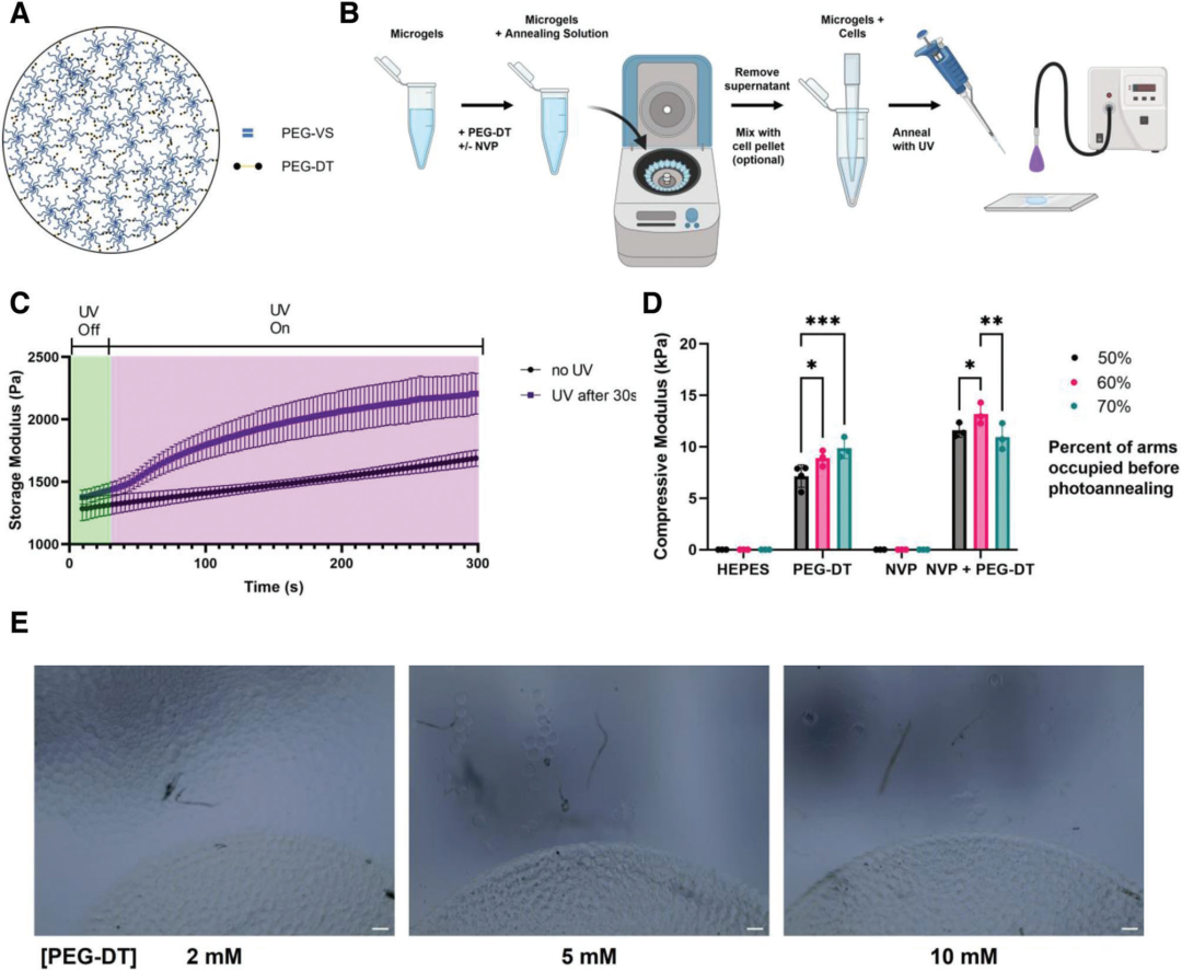 医用抗菌水凝胶怎么用水凝胶微球应用集锦：水凝胶微球抗菌、抗炎、促伤口愈合（二）_https://www.jmylbn.com_新闻资讯_第7张