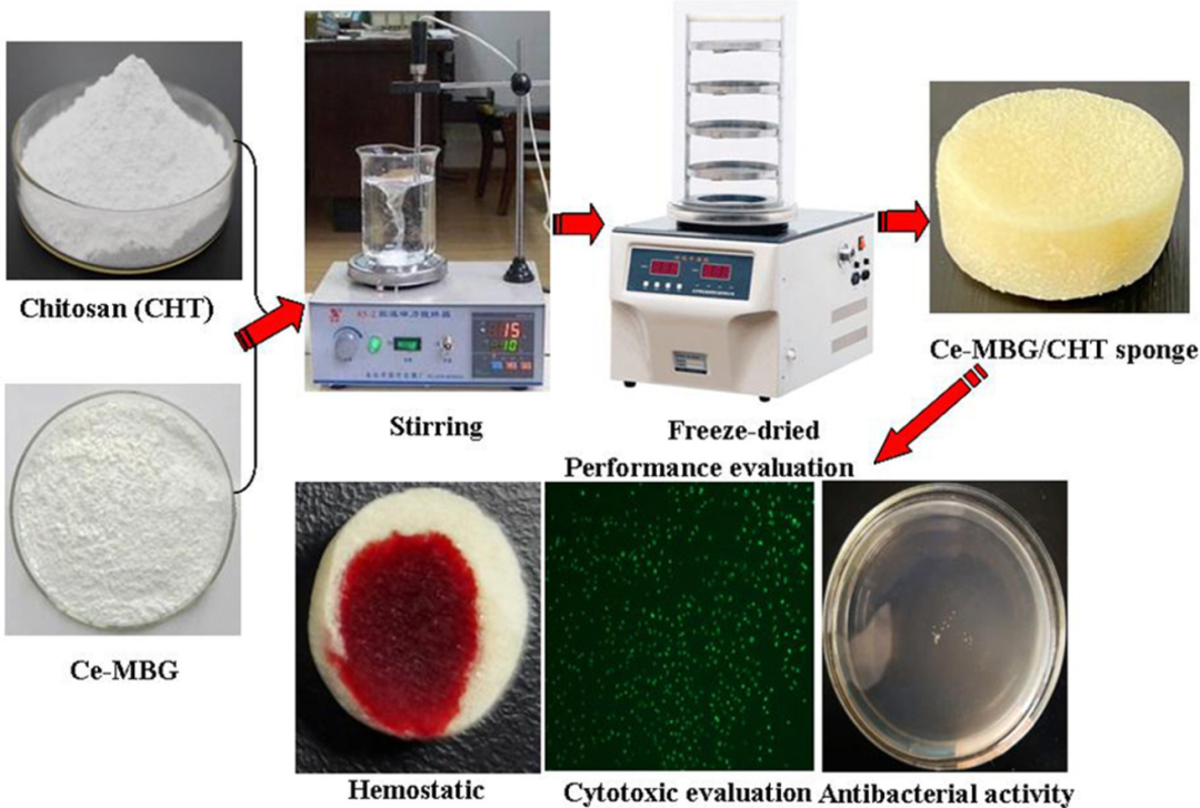 明胶在血管怎么降解【新文10篇】玻璃界的“doctors”--生物活性玻璃应用研究汇总_https://www.jmylbn.com_新闻资讯_第9张