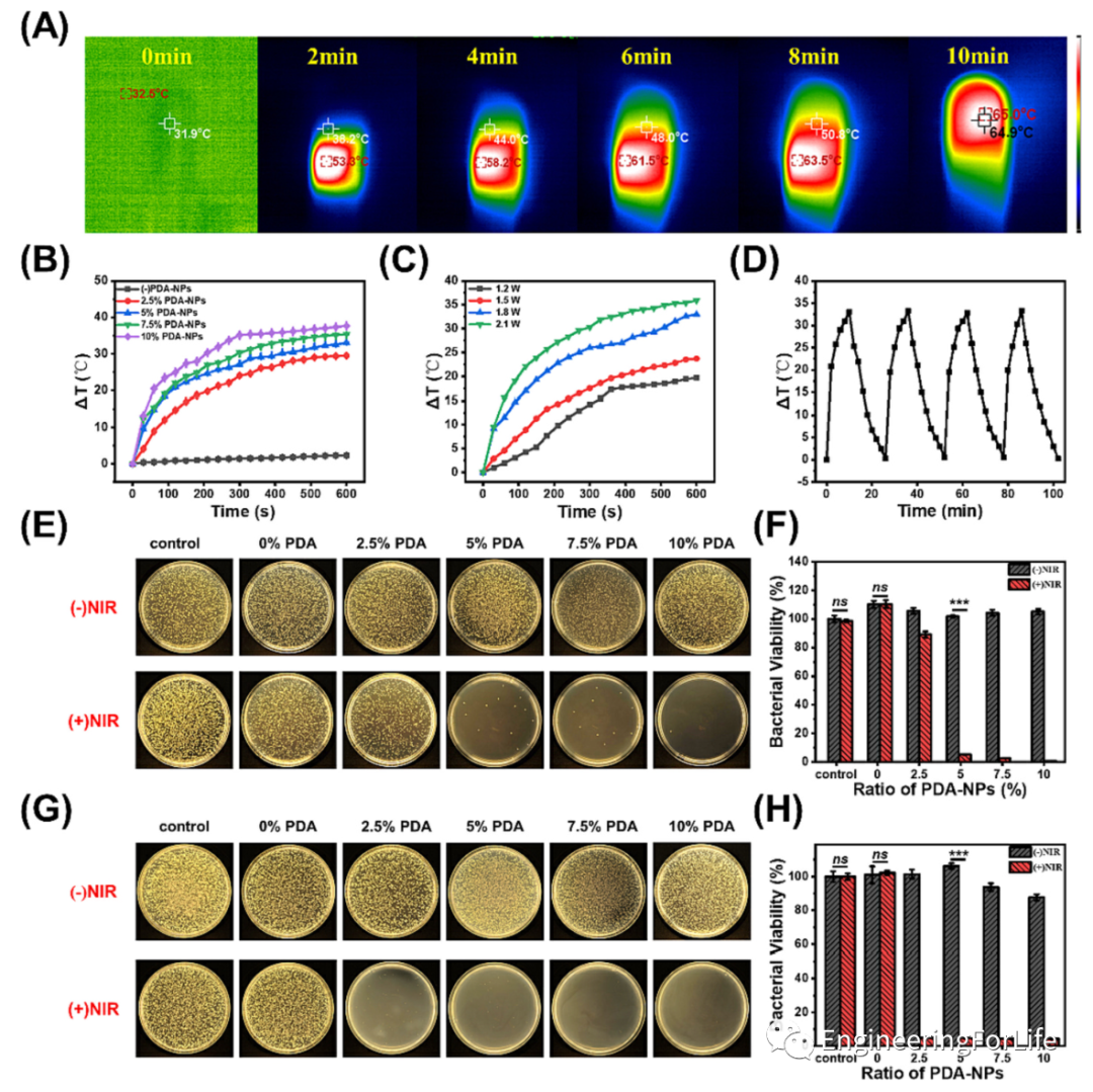 止血海绵怎么消毒《Carbohyd. Polym.》：多糖基海绵伤口敷料，快速止血&有效杀菌_https://www.jmylbn.com_新闻资讯_第3张