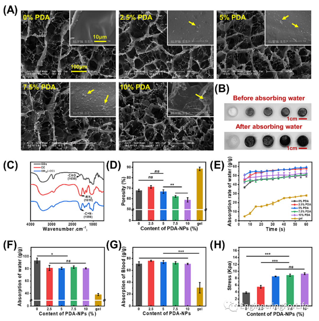 止血海绵怎么消毒《Carbohyd. Polym.》：多糖基海绵伤口敷料，快速止血&有效杀菌_https://www.jmylbn.com_新闻资讯_第2张