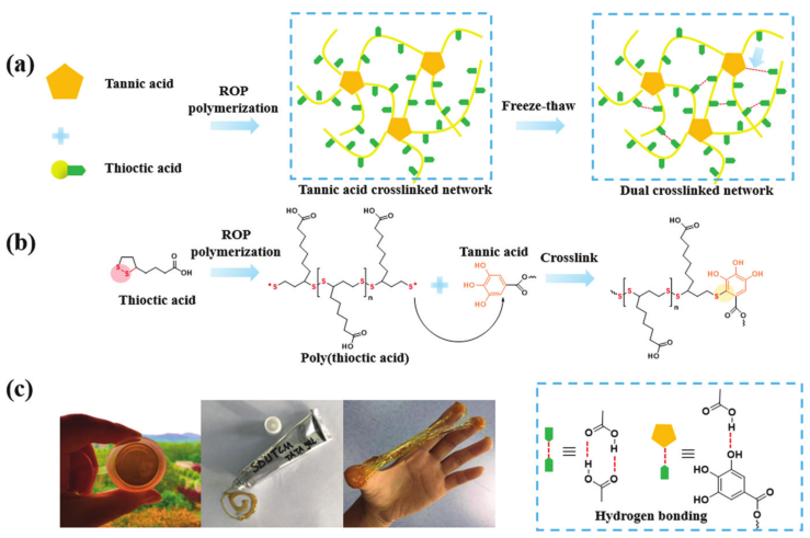 壳聚糖敷料什么时候用【专题集锦】用于细菌感染伤口愈合的创面敷料（12篇）_https://www.jmylbn.com_新闻资讯_第4张