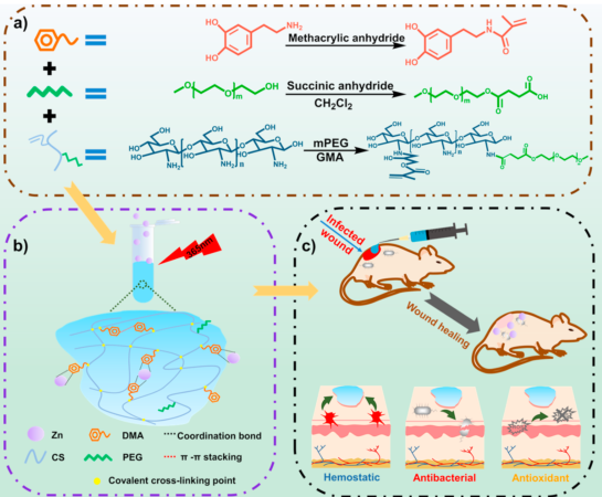 壳聚糖敷料什么时候用【专题集锦】用于细菌感染伤口愈合的创面敷料（12篇）_https://www.jmylbn.com_新闻资讯_第6张
