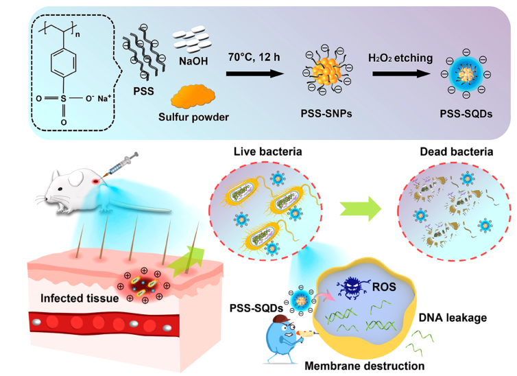 壳聚糖敷料什么时候用【专题集锦】用于细菌感染伤口愈合的创面敷料（12篇）_https://www.jmylbn.com_新闻资讯_第2张