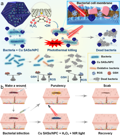 壳聚糖敷料什么时候用【专题集锦】用于细菌感染伤口愈合的创面敷料（12篇）_https://www.jmylbn.com_新闻资讯_第8张