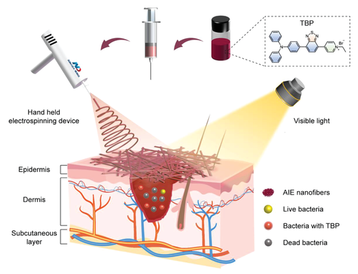 壳聚糖敷料什么时候用【专题集锦】用于细菌感染伤口愈合的创面敷料（12篇）_https://www.jmylbn.com_新闻资讯_第11张