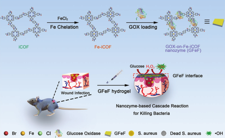 壳聚糖敷料什么时候用【专题集锦】用于细菌感染伤口愈合的创面敷料（12篇）_https://www.jmylbn.com_新闻资讯_第5张