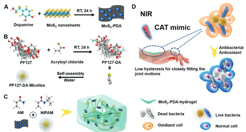 壳聚糖敷料什么时候用【专题集锦】用于细菌感染伤口愈合的创面敷料（12篇）_https://www.jmylbn.com_新闻资讯_第9张