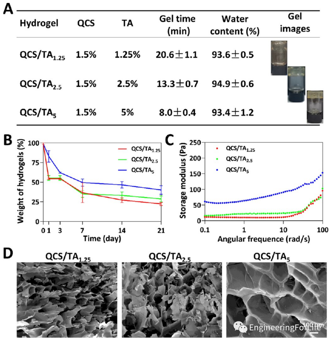 壳聚糖凝胶怎么用《ACS AMI》：巧用单宁酸，一步制备多功能壳聚糖水凝胶用于快速止血、皮肤伤口修复_https://www.jmylbn.com_新闻资讯_第3张