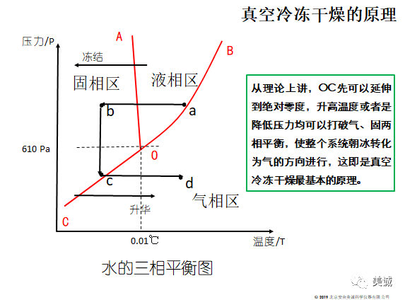 真空冷冻干燥技术的应用领域一医药行业
