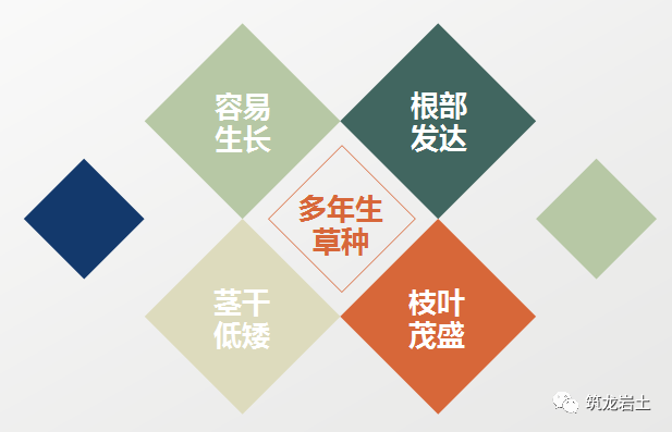 常见边坡坡面防护设计，你真的搞懂了吗？的图7