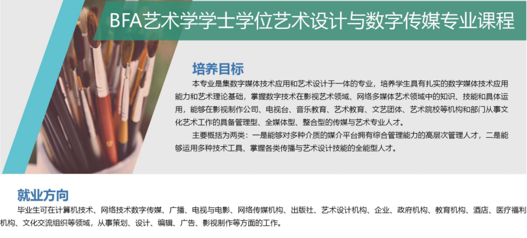 本科冷门艺术教育专业学什么_艺术类冷门本科学校_本科艺术教育专业冷门吗