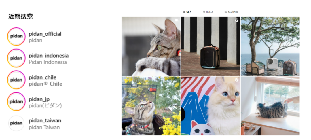 猫砂卖出上亿营收，这家宠物品牌火爆海内外！