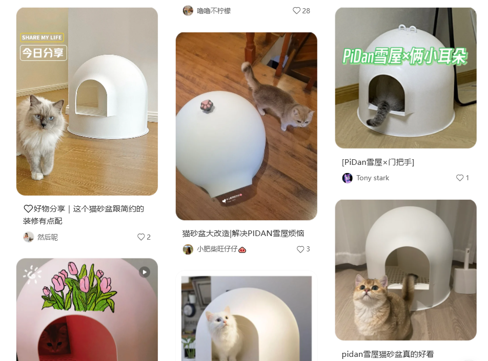 猫砂卖出上亿营收，这家宠物品牌火爆海内外！