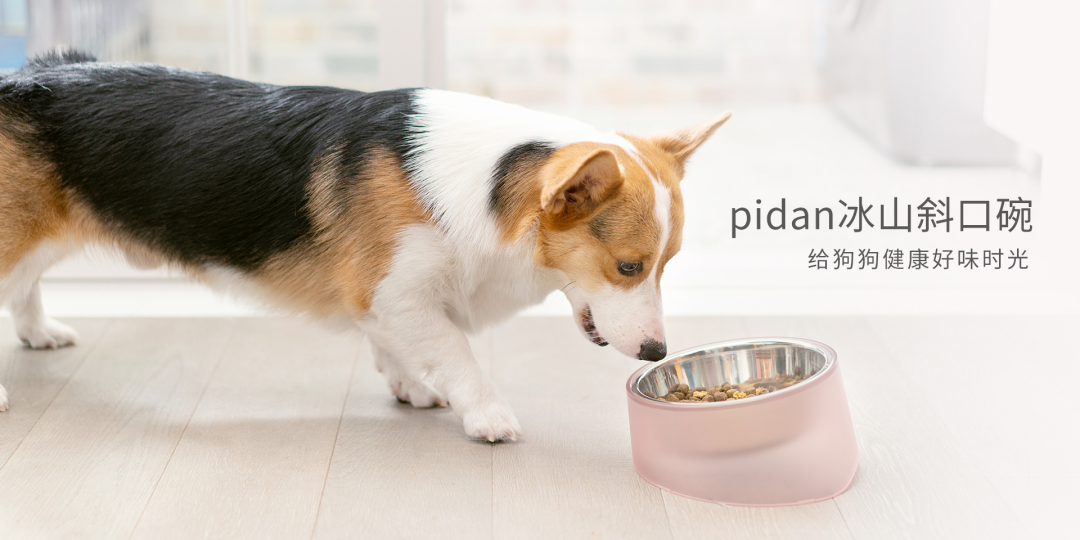 猫砂卖出上亿营收，这家宠物品牌火爆海内外！