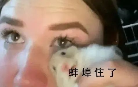 steam打不开创意工坊_进steam创意工坊_steam打开创意工坊118