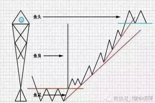 640?tp=webp&wxfrom=5&wx_lazy=1&wx_co=1