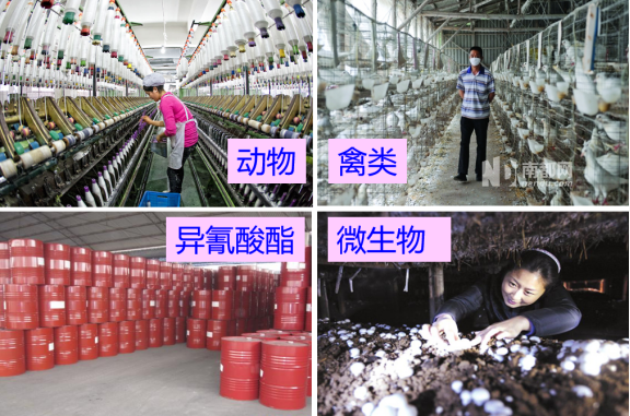 ero为什么不显示叶俏教授：HRCT是发现和鉴别「过敏性肺炎」的重要环节，何种表现指向预后不良？使患者发病的危害因素躲在哪些环境中？_https://www.jmylbn.com_新闻资讯_第11张