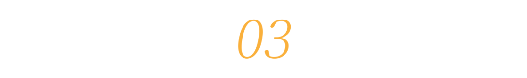 03.png