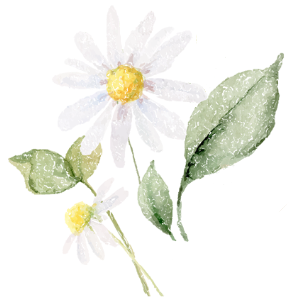 眼底照相能检查出什么眼底咔嚓拍张照 健康问题早知道_https://www.jmylbn.com_新闻资讯_第5张