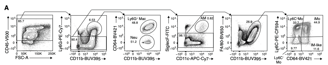 巨噬細胞也會表達Ly6G