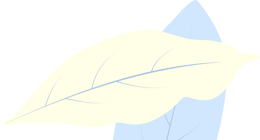 技术赋能教学，专家引领优秀