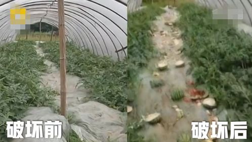 孩子是你家的，我凭什么要帮你惯着