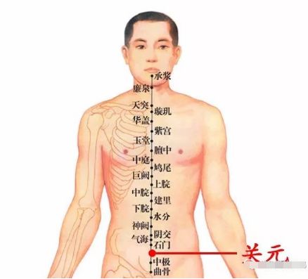 气血不足？艾灸帮您调气血！|养生知识-南阳宛艾产业协会