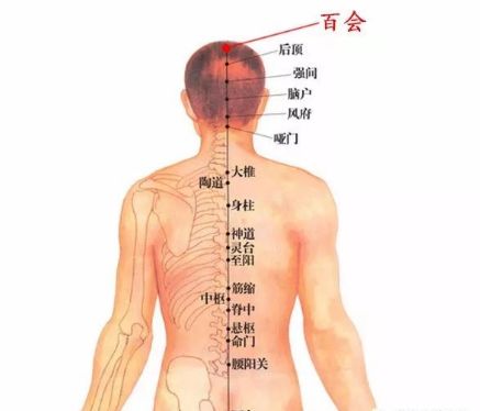 气血不足？艾灸帮您调气血！|养生知识-南阳宛艾产业协会